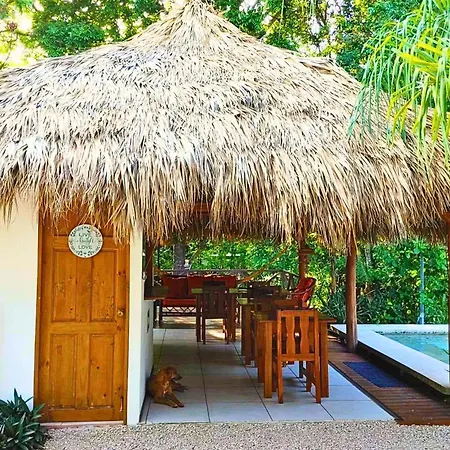 Antema Lodge Secteur Tamarindo, Piscine, Yoga, Gym, Jungle Et Paix-2